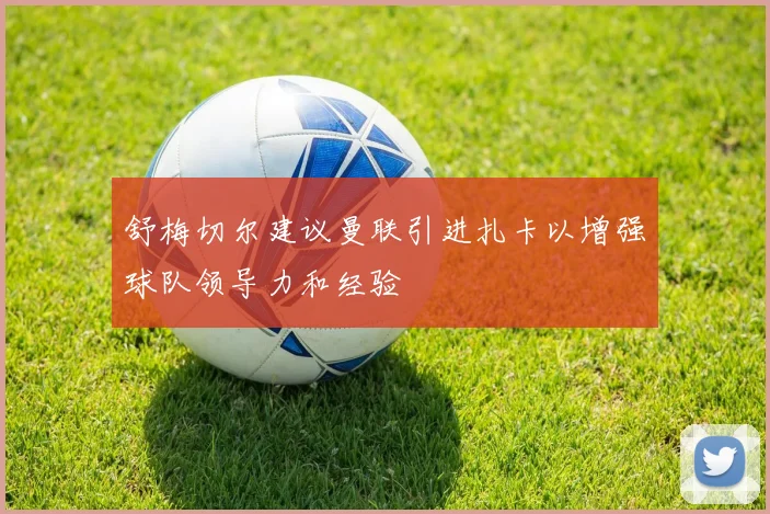 舒梅切尔建议曼联引进扎卡以增强球队领导力和经验