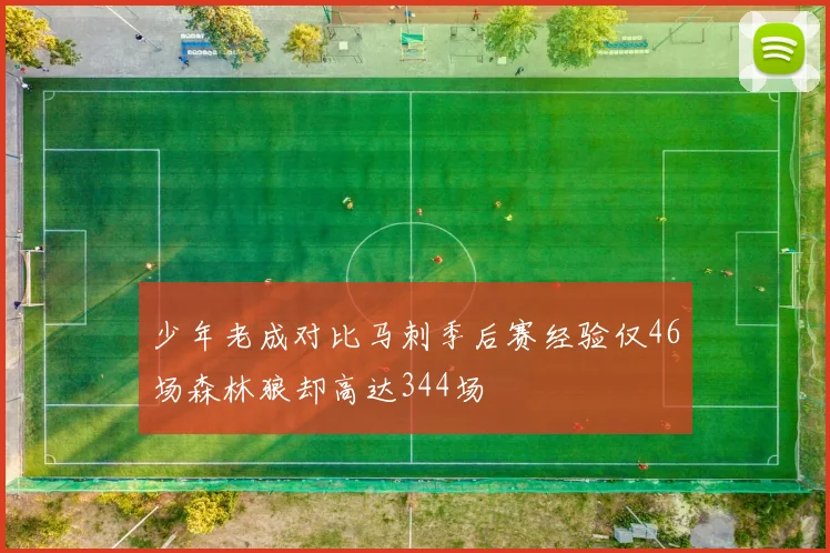 少年老成对比马刺季后赛经验仅46场森林狼却高达344场